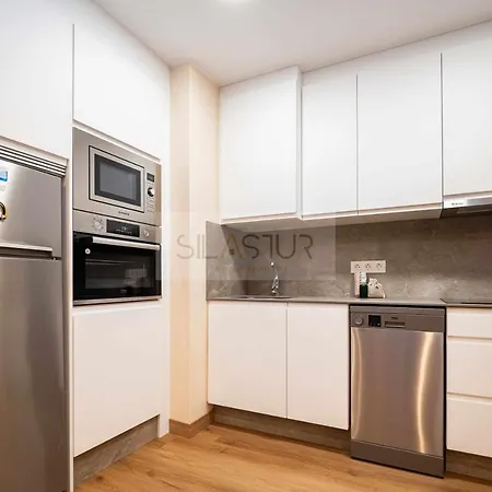 Apartment La Cantabrica By Silastur
